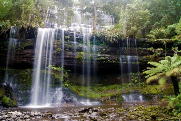 Mount Field waterval Tasmanië