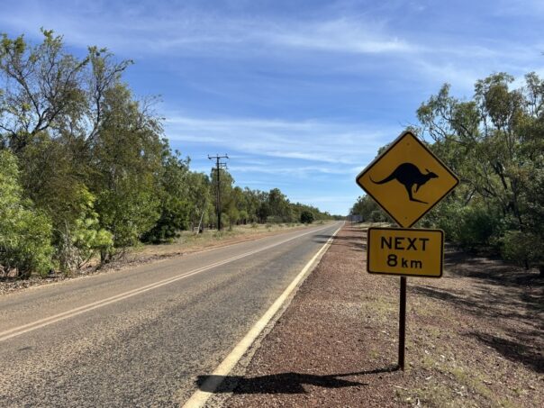 Australië verkeersbord kangoeroe