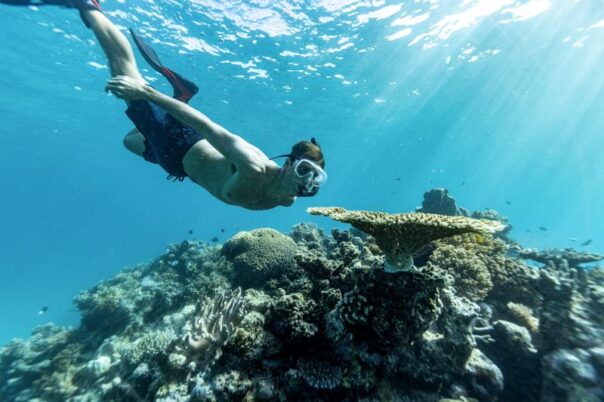 Tiener snorkelt naar rif in het Great Barrier Reef