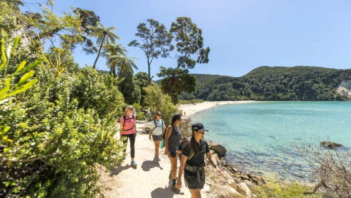 Abel Tasman National Park hiking