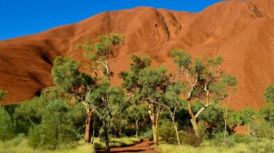 Pad naar de base van Uluru ofwel Ayers Rock met groene bomen voor de rots