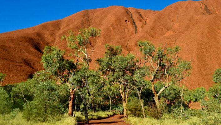 Pad naar de base van Uluru ofwel Ayers Rock met groene bomen voor de rots