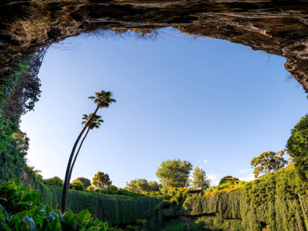 Blik in de Umpherston Sinkhole in Mount Gambier met weelderige begroeiing in de grot