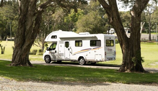 Cruisin' 4 Berth Deluxe staat tussen de bomen