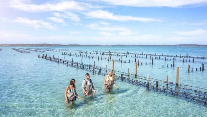 Twee vrouwen en een man lopen door zee om oesters te zoeken in Coffin Bay South Australia