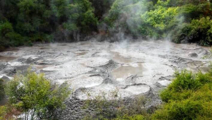 Borrelende modderpoelen tussen bomen in Te Puia bij Rotorua