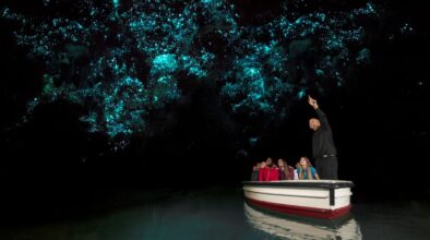 Bootje in Waitomo grot op Noordereiland onder verlichte hemel van glowworms ofwel gloeiwordem