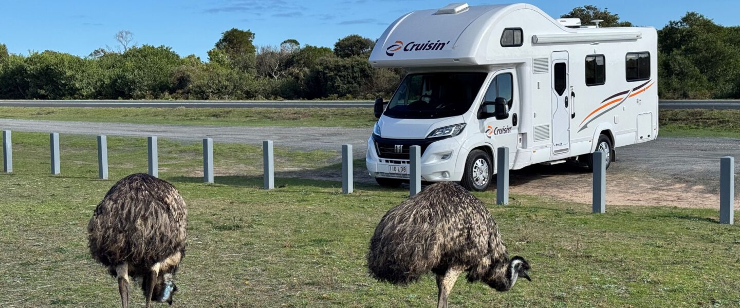 Twee emoes staan op een grasveld voor een Cruisin 4 berth deluxe camper