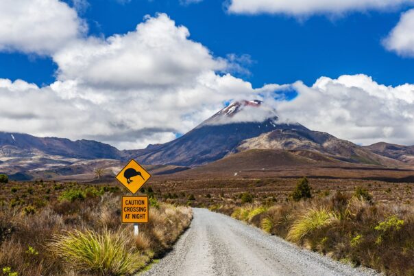 Verkeersbord met kiwi erop staat langs de weg naar een vulkaan in Tongariro National Park