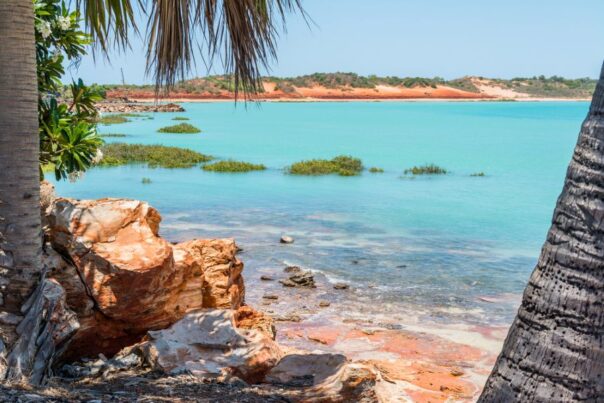 Zicht op azuurblauwe zee bij Broome door palmbomen heen