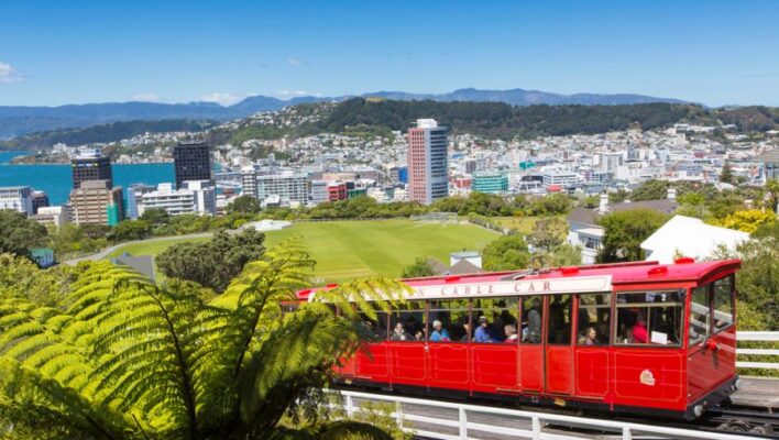 De rode tram rijdt op de trambaan met de stad Wellington op de achtergrond en een varen op de voorgrond