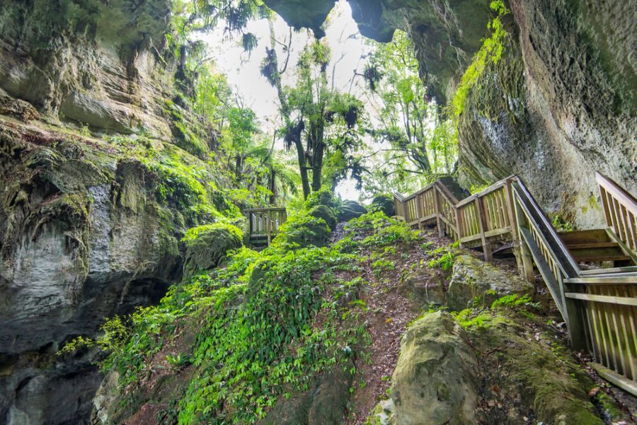 Trap naar de Mangapohue Natural Bridge bij Waitomo