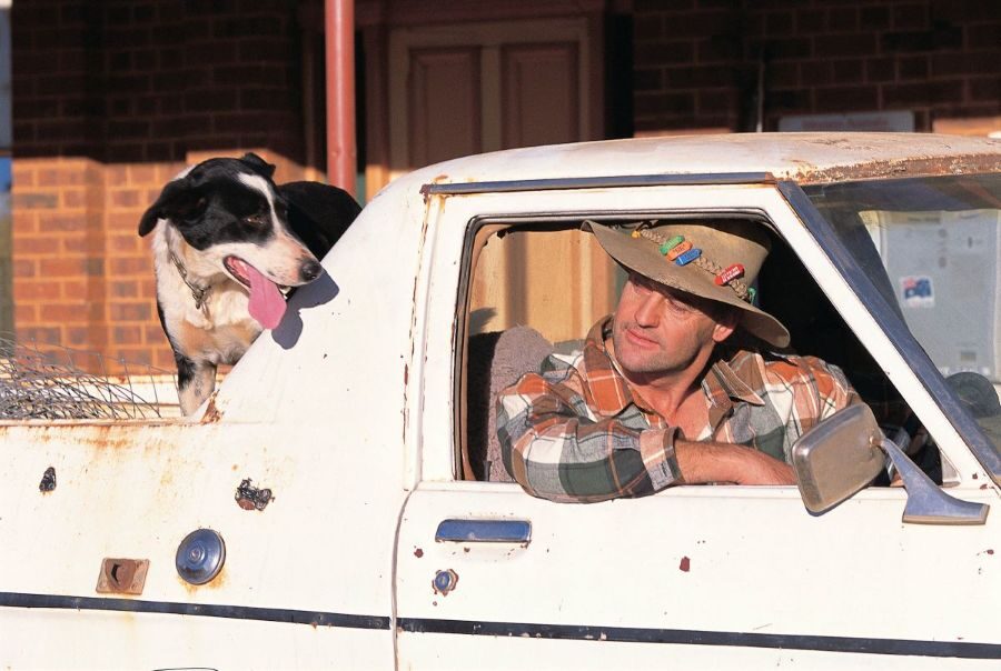 Australische ute met hond achterop en man die vanuit de cabine naar de hond kijkt