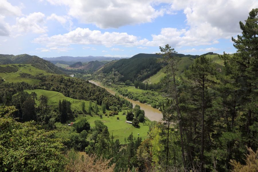Zicht op de Whanganui River