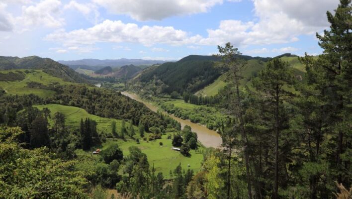 Zicht op de Whanganui River