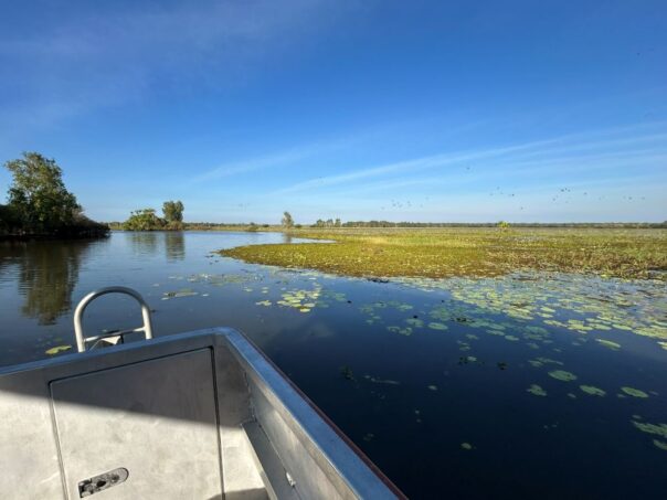 Kakadu Yellow Water billabong boottocht