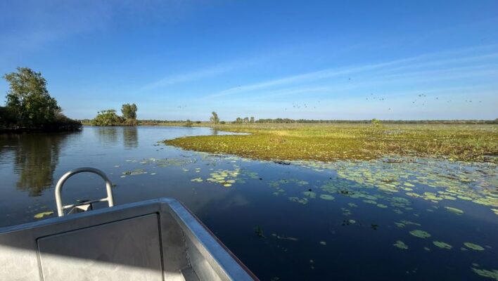 Kakadu Yellow Water billabong boottocht