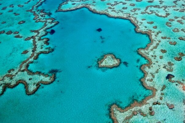 Great Barrier Reef Whitsundays: Heart Reef vanuit de lucht gezien