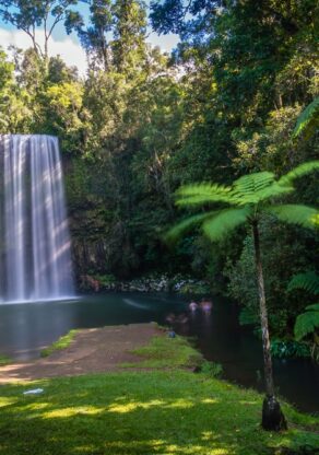 Zicht op de Millaa Millaa Falls in de Atherton Tablelands met palmboom op de voorgrond