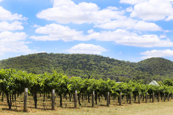 Mudgee wijnregio New South Wales
