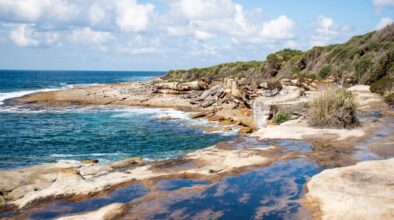 Royal National Park New South Wales