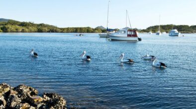 Myall Lakes New South Wales