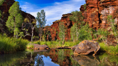 Waterpoel met groene bomen in een kloof in Karijini national park