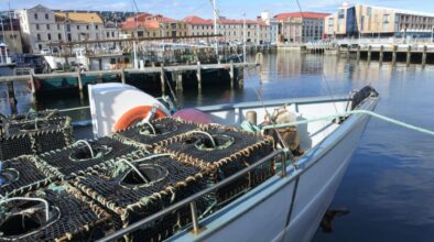 Vissersboten liggen in de haven van Hobart op Tasmania