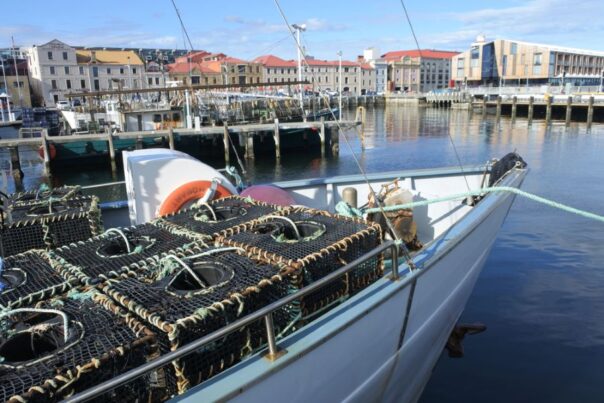 Vissersboten liggen in de haven van Hobart op Tasmania
